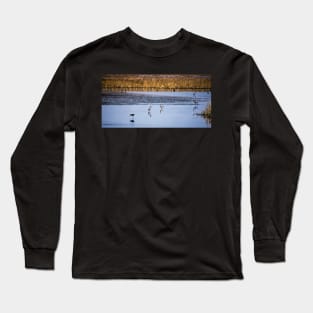 American Avocets Long Sleeve T-Shirt